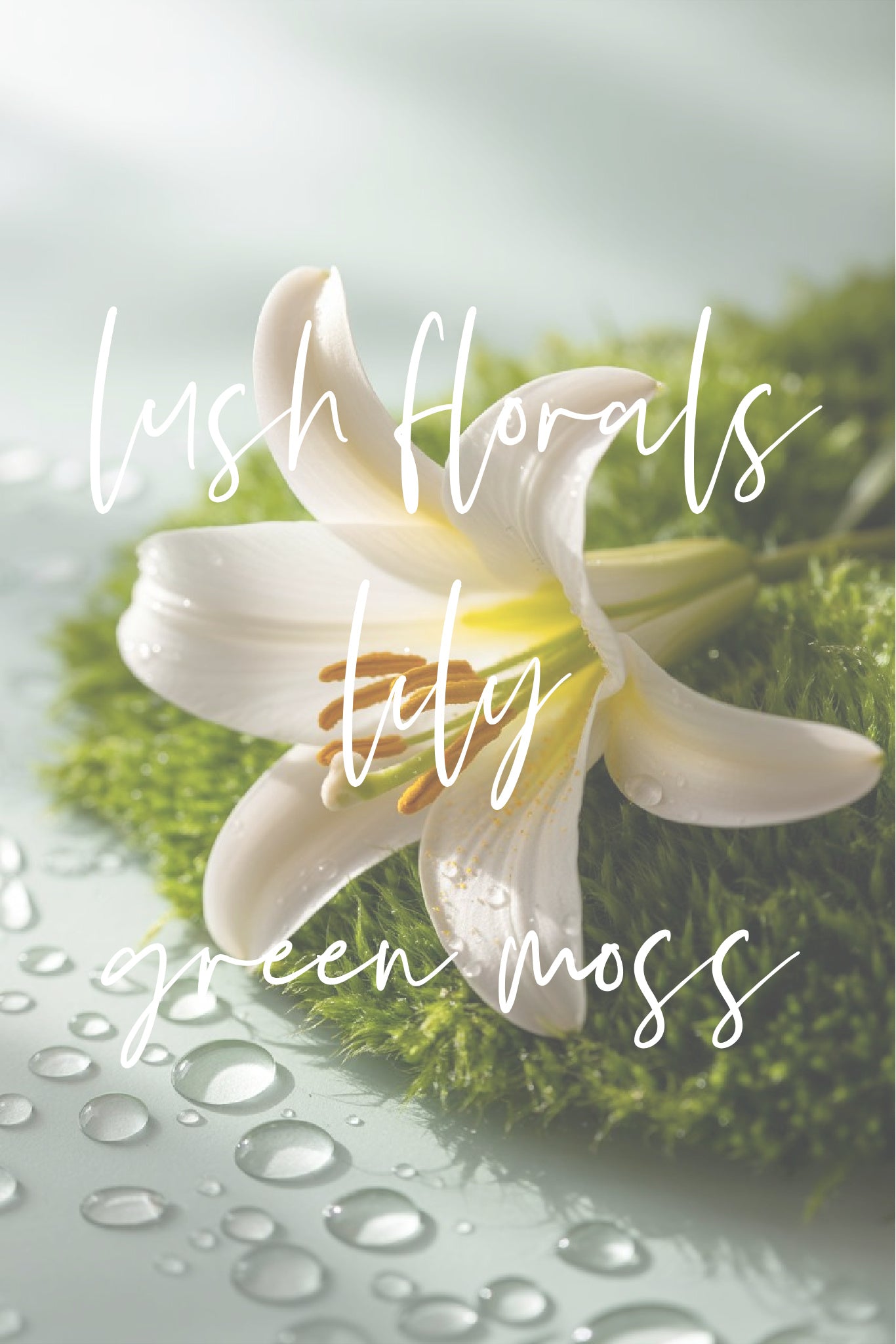 Field of Flowers 15oz Shimmer Candle