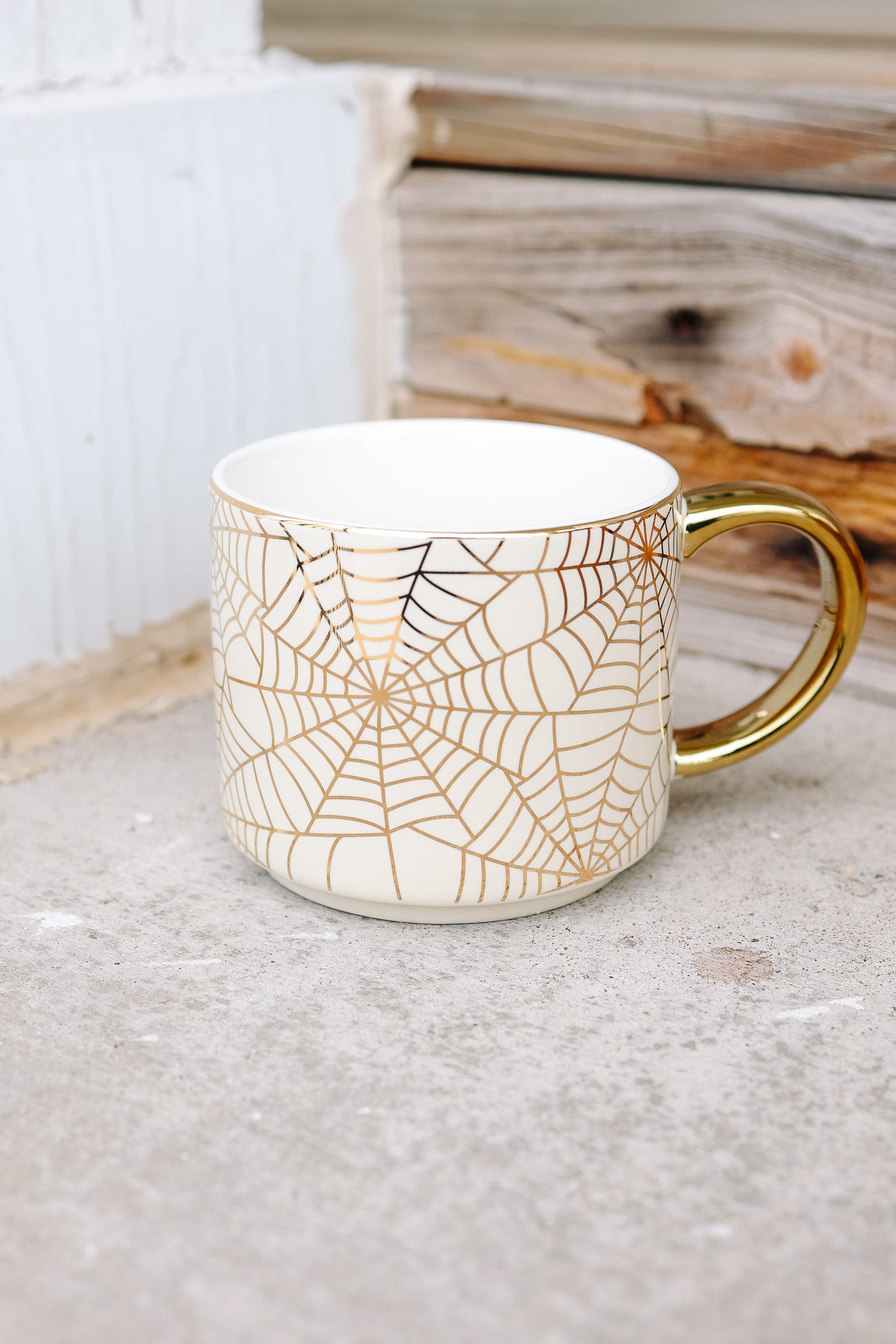 Spiderwebs Coffee Mug