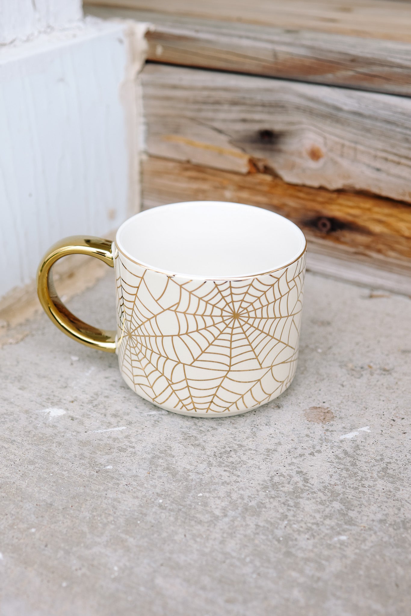 Spiderwebs Coffee Mug