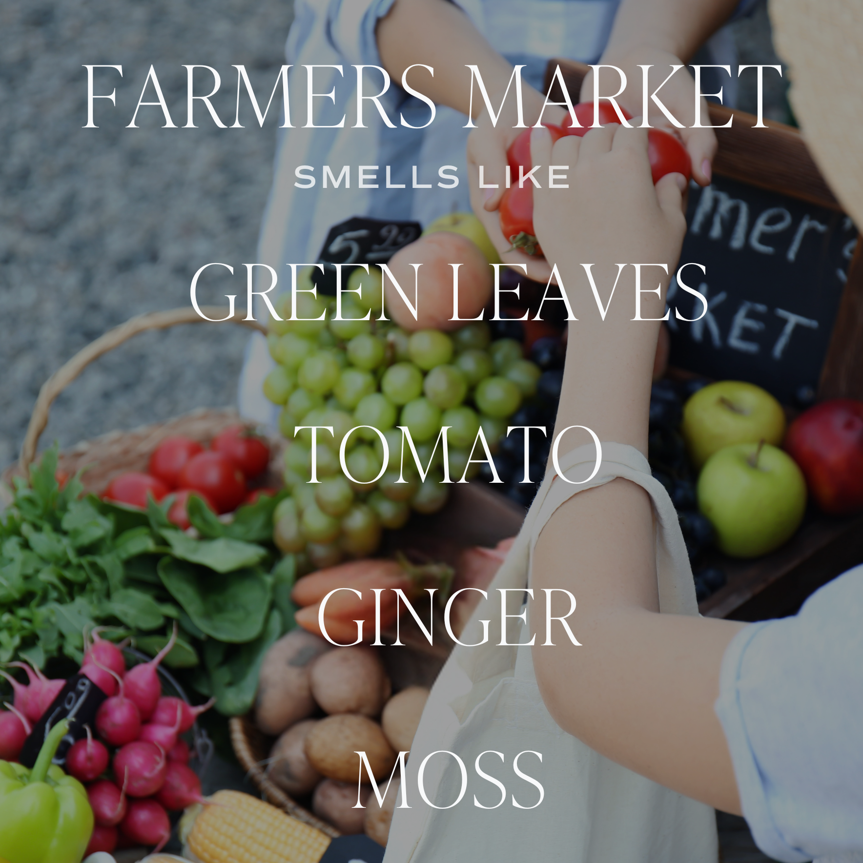 Farmer's Market 11 oz Soy Candle