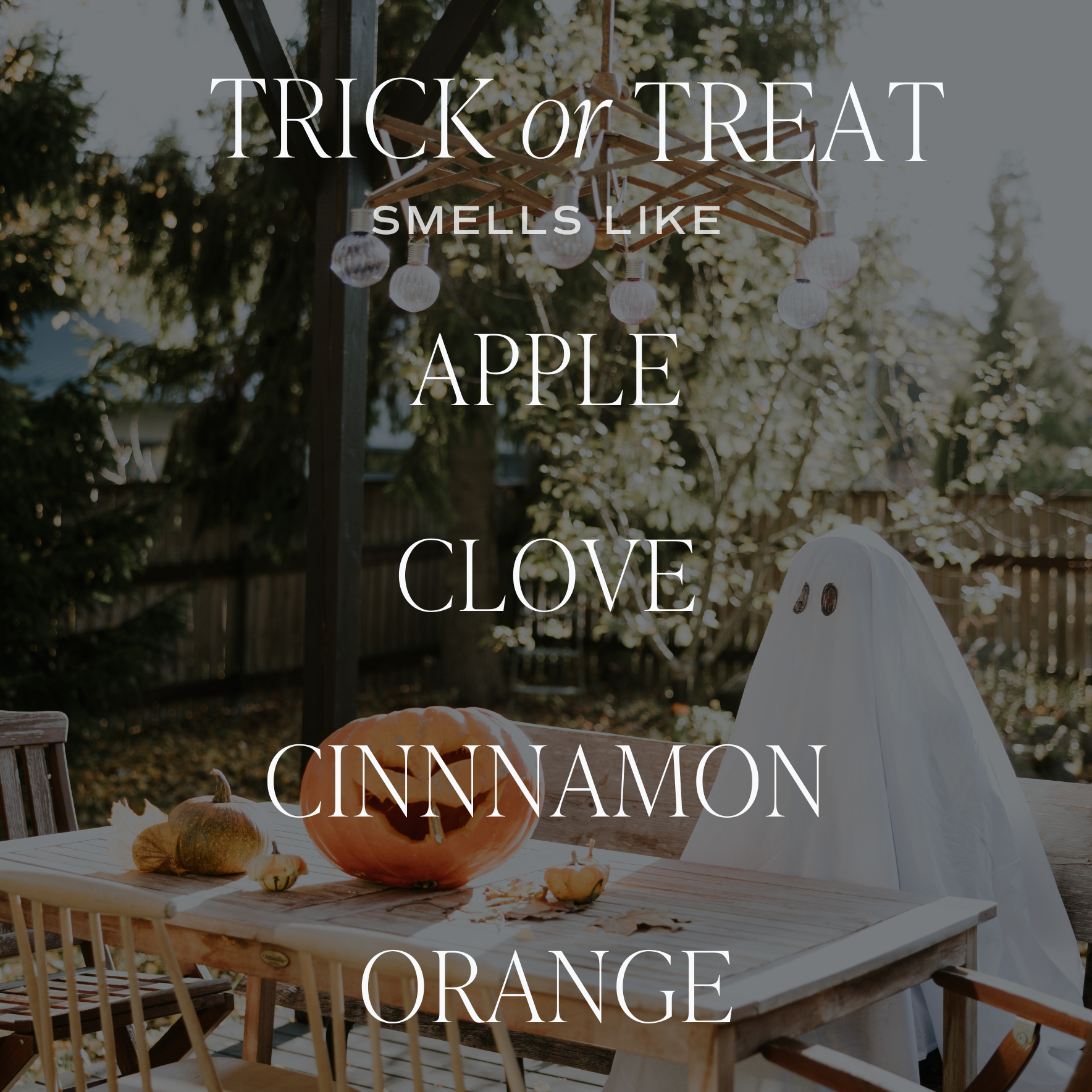 Trick or Treat 15 oz Soy Candle