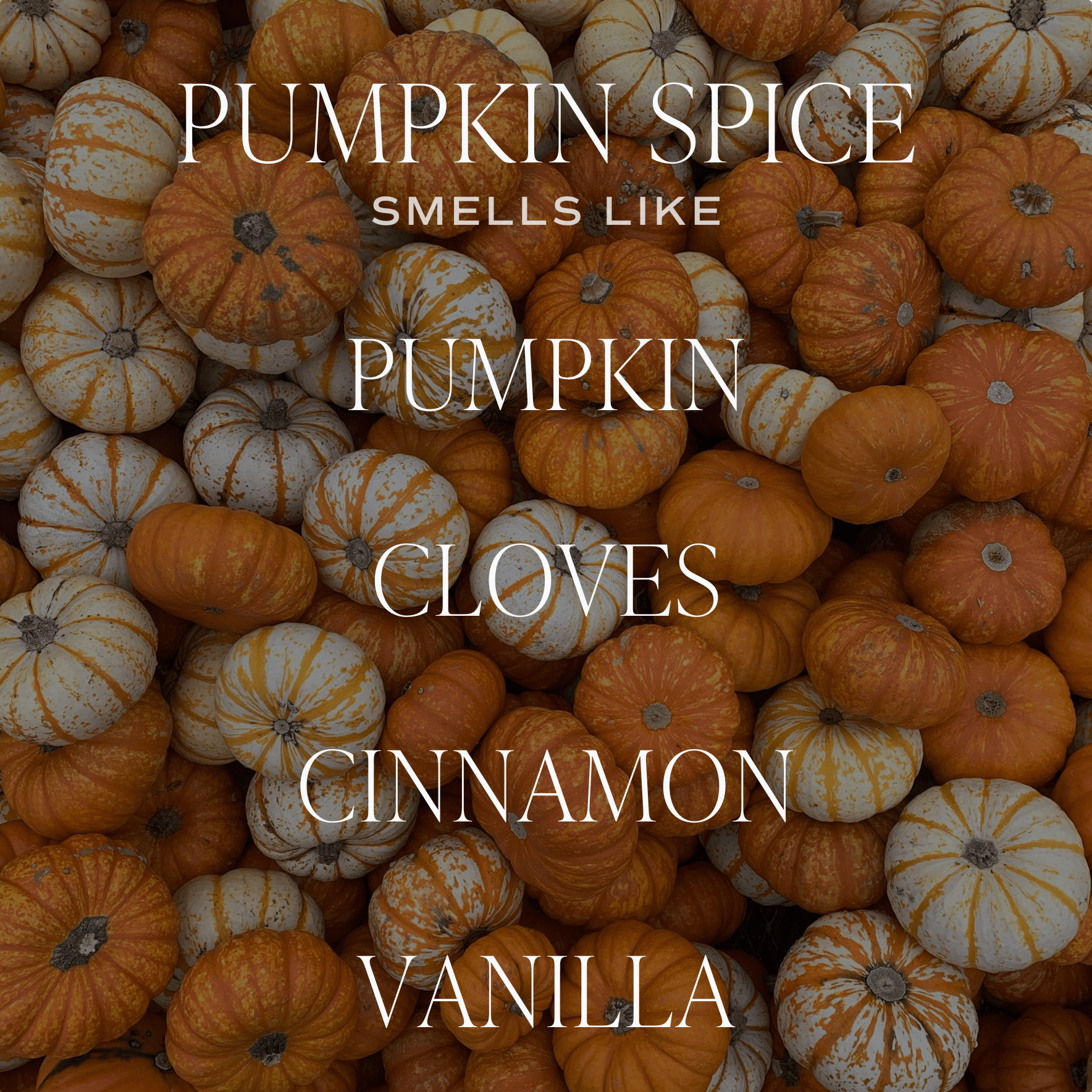 Pumpkin Spice 12 oz Candle